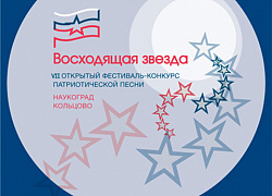 Итоги VII Заочного открытого конкурса патриотической песни «Восходящая звезда»